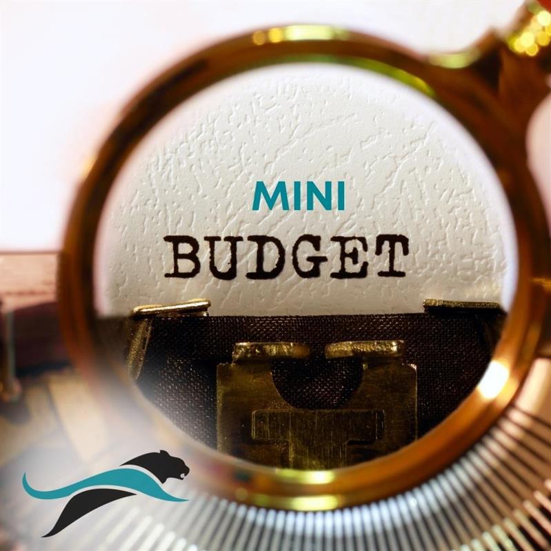 Estate planning and mini budgets